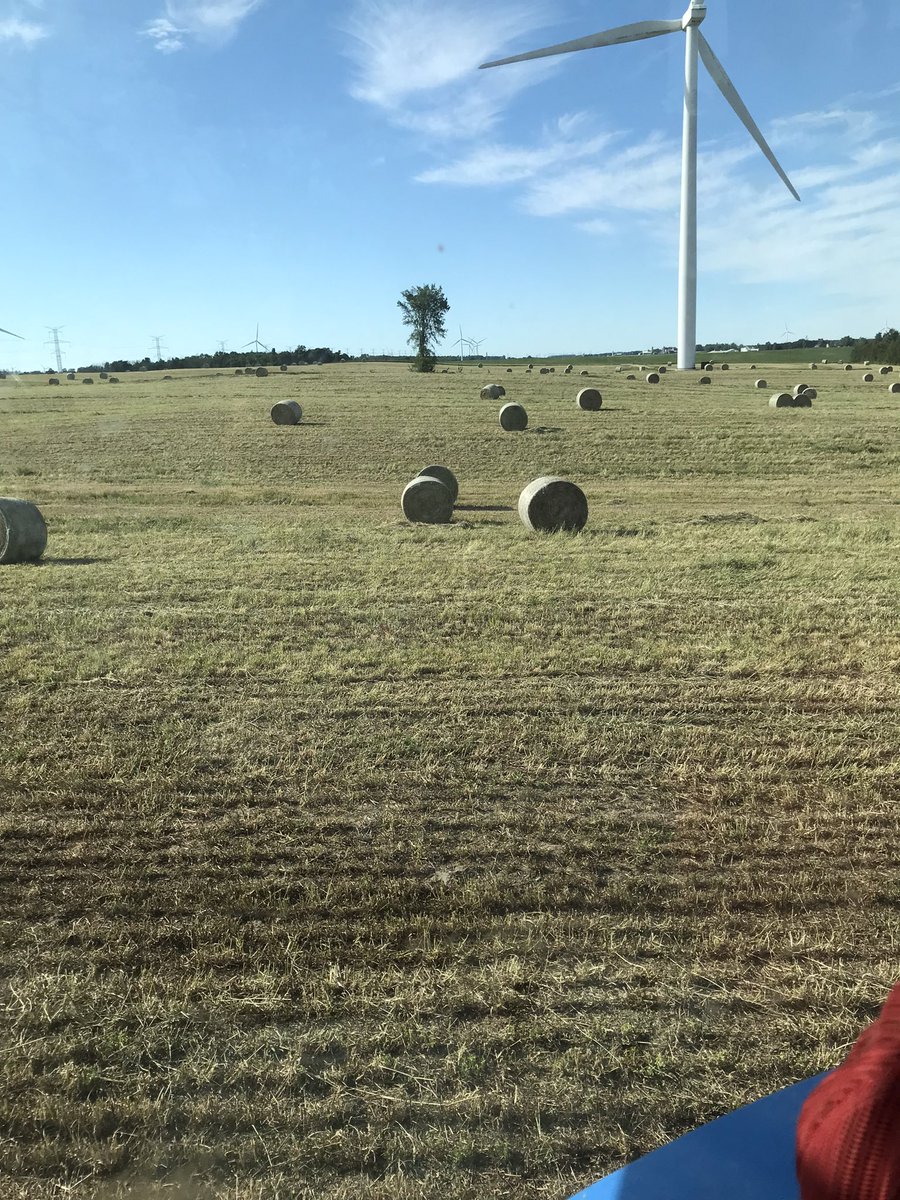 NicholasNmasse's tweet photo. Finished first cut today! Very happy with the crop and that its dry, would be willing to sell a couple loads if anyone is in need. Call/text 519-614-4497. https://t.co/Ee9XWB7LfZ
