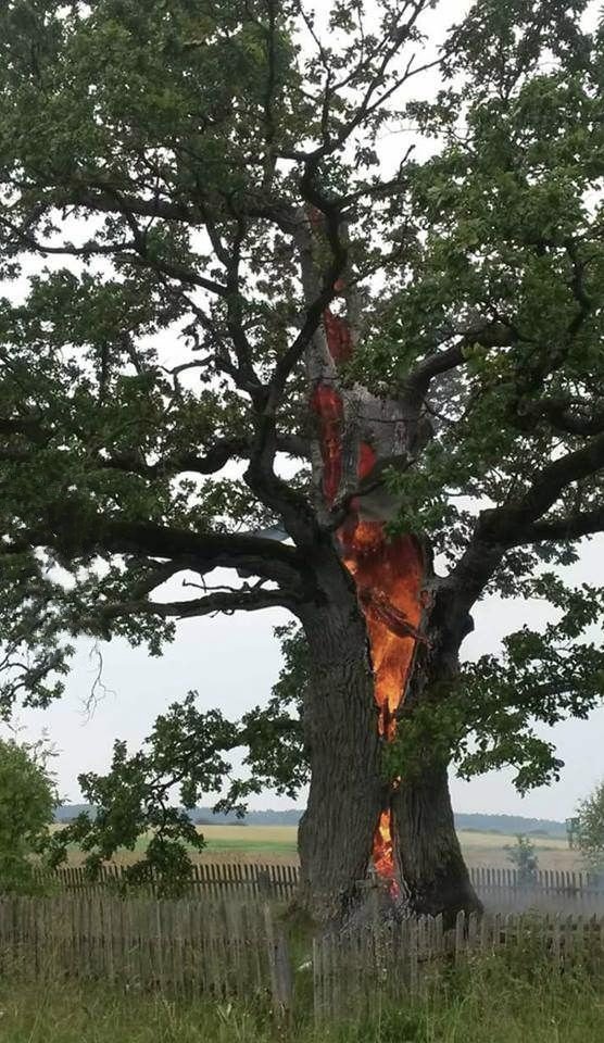 AMBREEN DELILAH tweet media