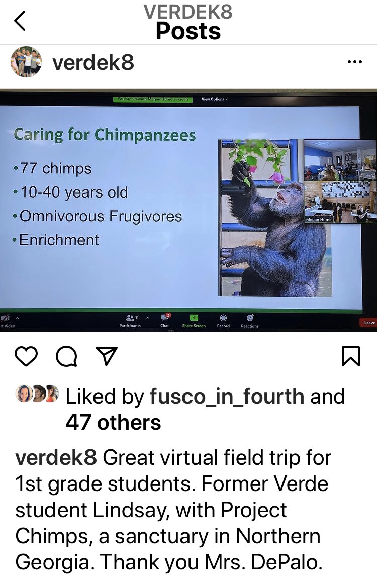 VerdeGreenTeam's tweet photo. Virtual field trip Project Chimps with Verde alumni #greenschool #fieldtrip #chimpansees #animals #Sustainability #amazingteachers https://t.co/SJbnb4ygTX
