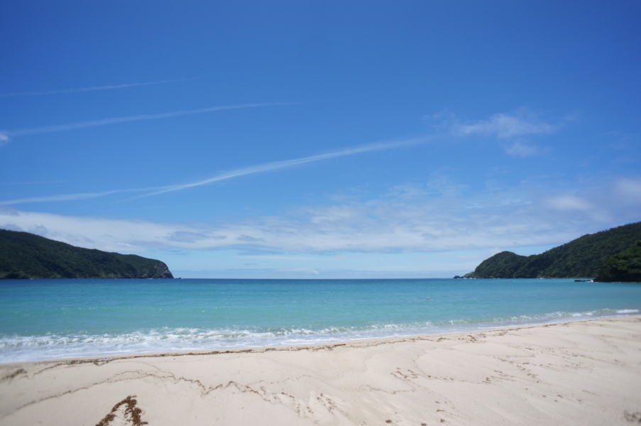 奄美 大和村 国直海岸 Twitter Search 奄美 大和村 国直海岸 Twitter Search