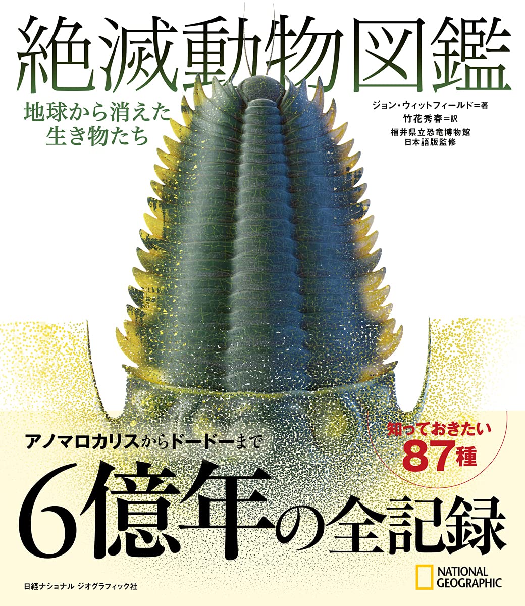 方向音痴が画いた地図 Bokebokemonmon Twitter 方向音痴が画いた地図 Bokebokemonmon Twitter