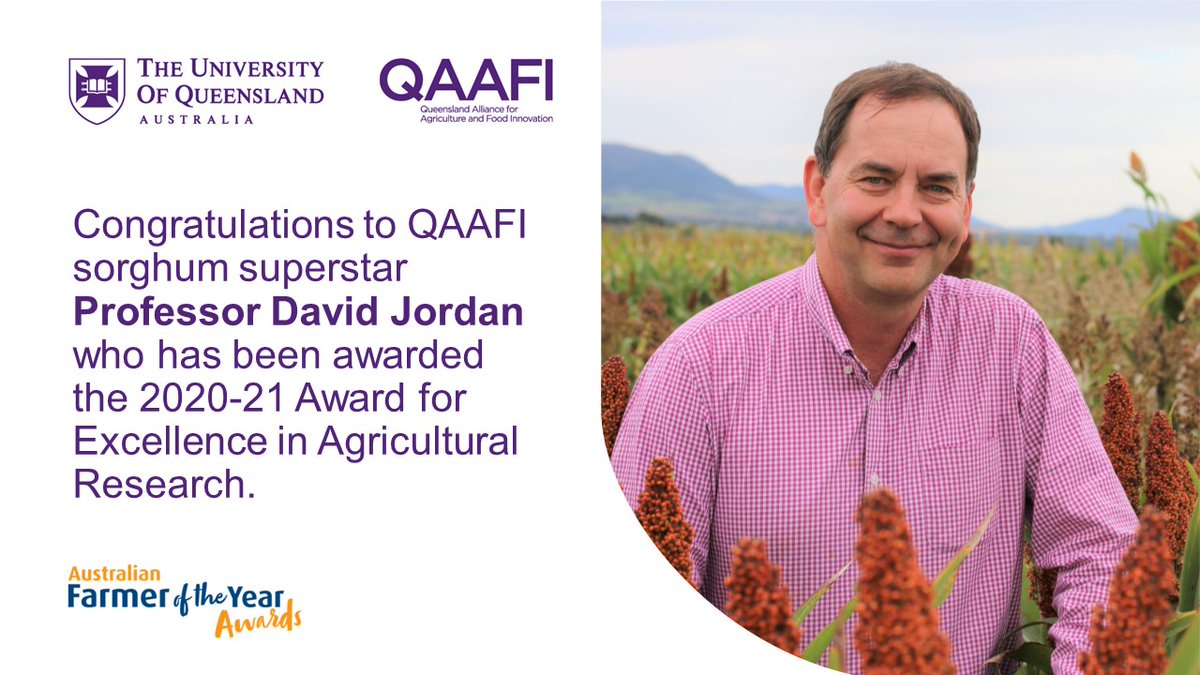 Congratulations to sorghum superstar Prof David Jordan who has been awarded the 2020-21 Award for Excellence in Agricultural Research for his world-leading R&D into #sorghum pre-breeding at the @ausfarmerawards 
Read more: bit.ly/2S1o4Yk
@KondininGroup @ABCRural @SorgGuy