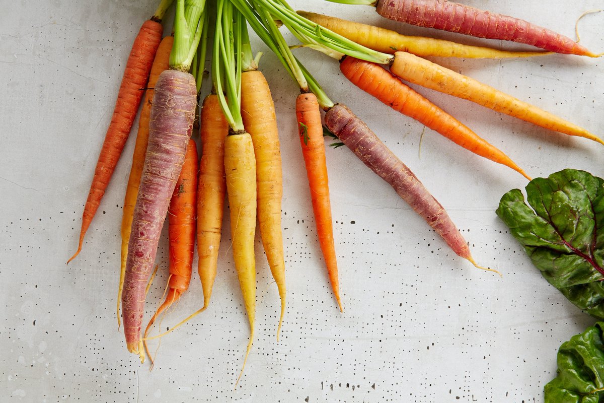 Fact 82: Although most carrots are orange, it turns out that it wasn't always that way. The original carrots were purple and yellow.

#TGfacts #teengoinggreen