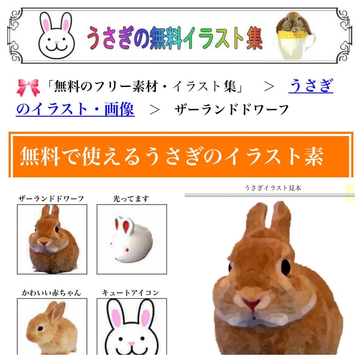 うさぎ専門店うさぎ村 Usagi Mura Twitter うさぎ専門店うさぎ村 Usagi Mura Twitter