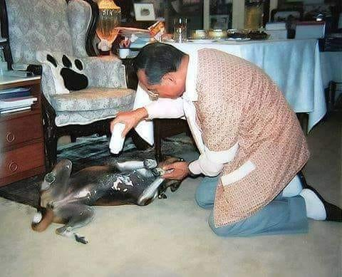 carmen167057816's tweet photo. คิดถึงพ่อค่ะ ❤️❤️❤️🙏🙏🙏 https://t.co/7lw3qoOwYA