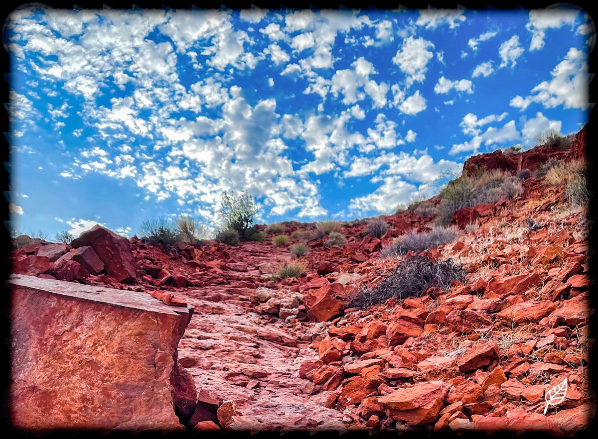 CourthneyJr's tweet image. R&amp;amp;R Vision 

#iphone12promax #elevatevoices #culturalcreator