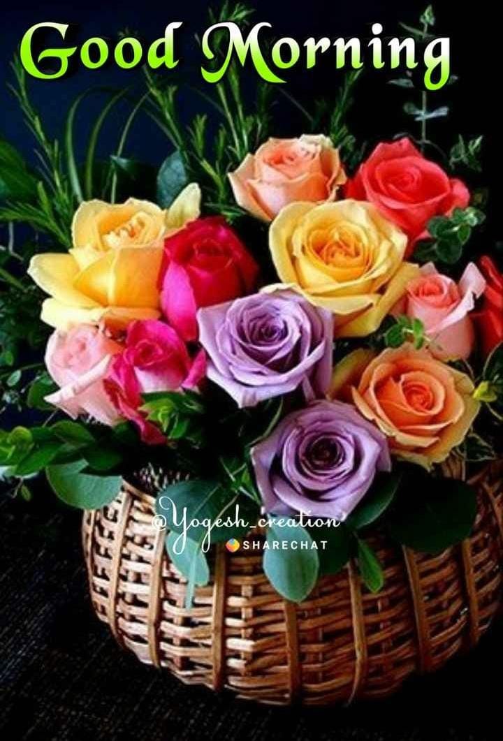 yadavdevlash's tweet image. 