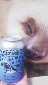 SquibSquabbles's tweet photo. Plus, here is our round of drinks for "What are We Drinking to Get Through This"!

Katie: Wicked Apple Cider by @ReddsHardApple
Sydney: Deep Blue Blueberry Saison Ale by @GizmoBrewWorks 
Alex: Lazer Snake IPA by @3floyds 

Try 'em out! https://t.co/oMLzt77313