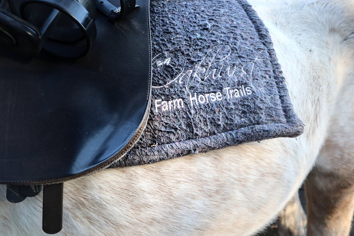 Located on Oakhurst farm in Wilderness, this is one of the few remaining large working farms along the Garden Route &amp; covers an impressive 640 hectares of land – 200 of which are pristine fynbos and indigenous forest. Read more here instagram.com/p/CQNQwiND-xb/… <a href="/AfriCamps_SA/">AfriCamps</a>