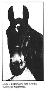 hoosiernations's tweet photo. #OTD 1914 in Detriot, MI #SingleG finished 11 & 7 in first heats, reeled off 3 straight wins to win the Midwest Shortship. After, gentleman offered $7,500 to Mr Barefoot..."Not for Sale" The response to every telegraph sent to Cambridge City #HoosierLegend
@HoP_Racing https://t.co/IiDcJJUG3i