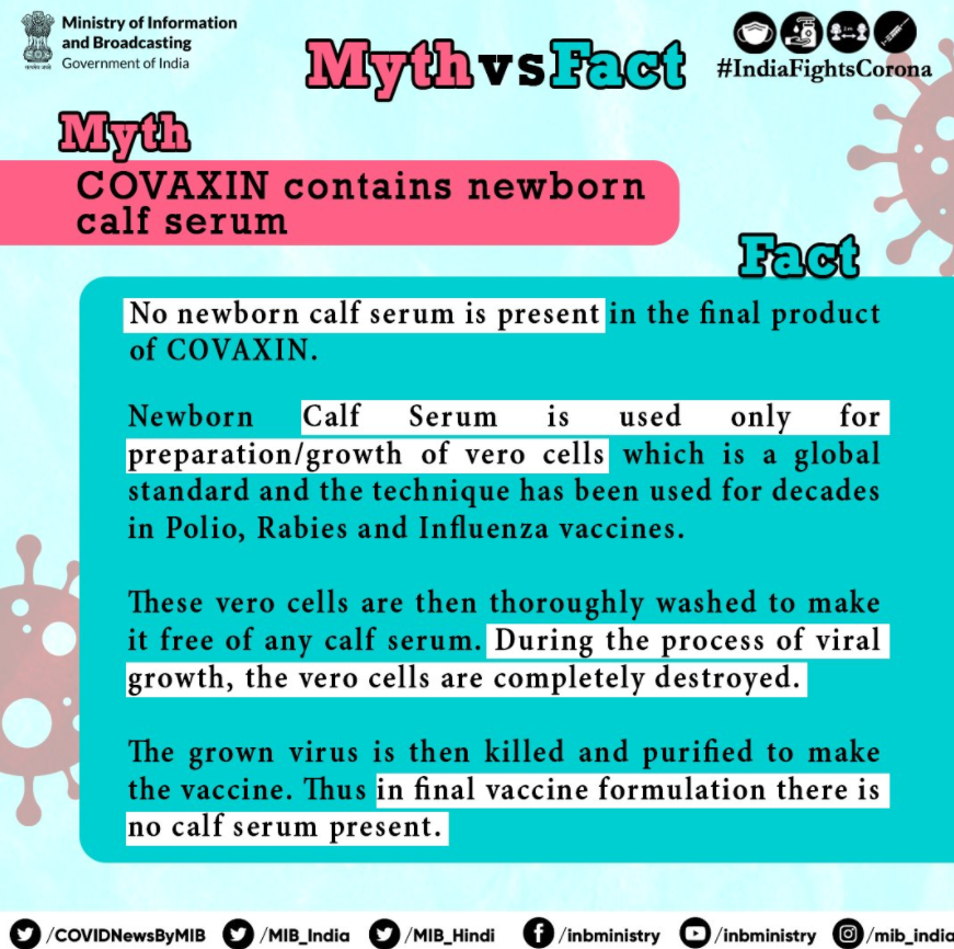 PibLucknow's tweet photo. #IndiaFightsCorona
#Myth: #COVAXIN contains newborn calf serum❓
#Fact: No newborn calf serum is present in the final product of covaxin.
➡️ Newborn calf serum is used only for preparation/ growth of vero cells.
#LargestVaccinationDrive
#Unite2FightCorona #CoronaFact https://t.co/Dmq6nOB7L8