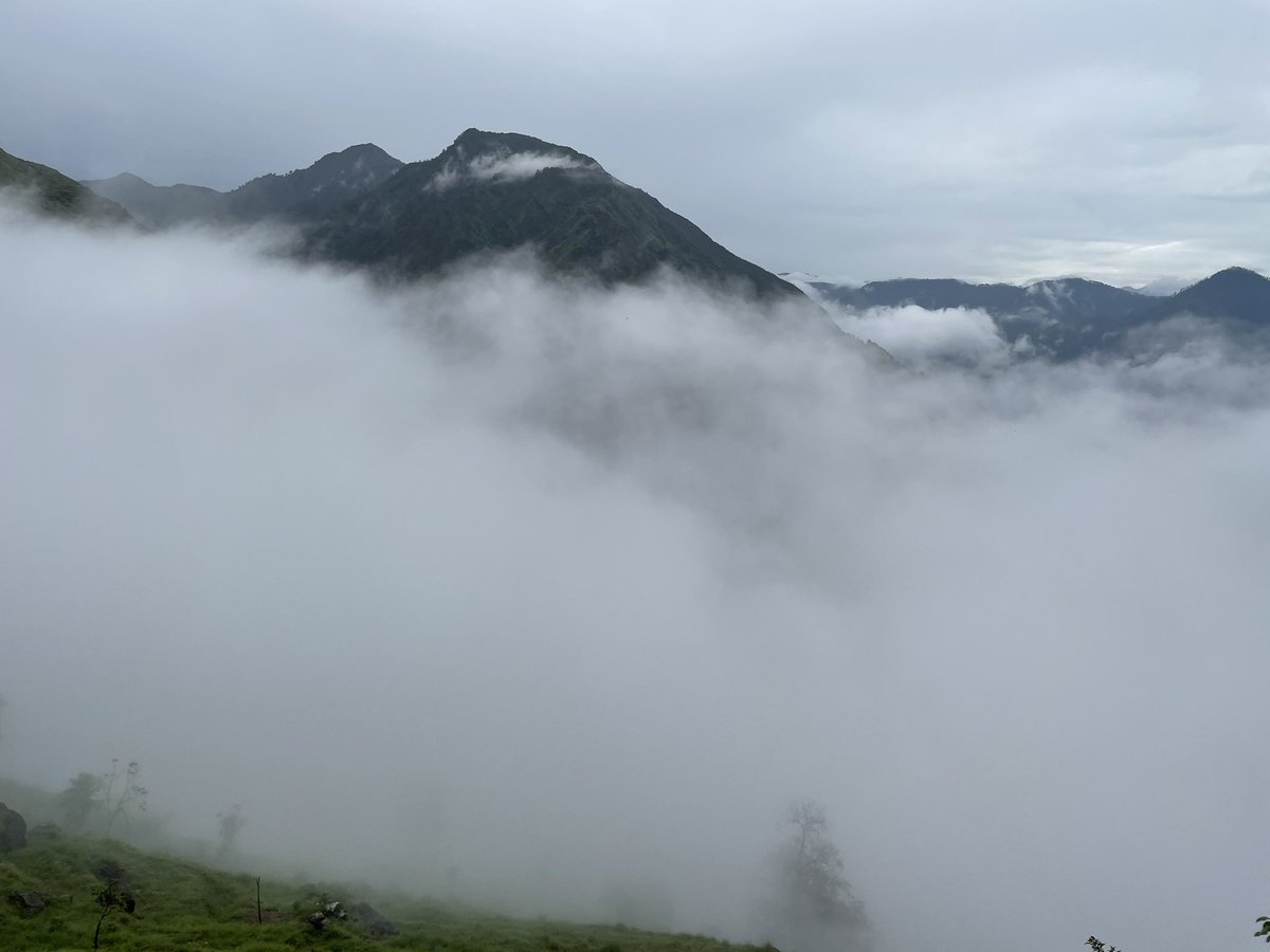 पादेव..... (@rohitkarim) on Twitter photo 