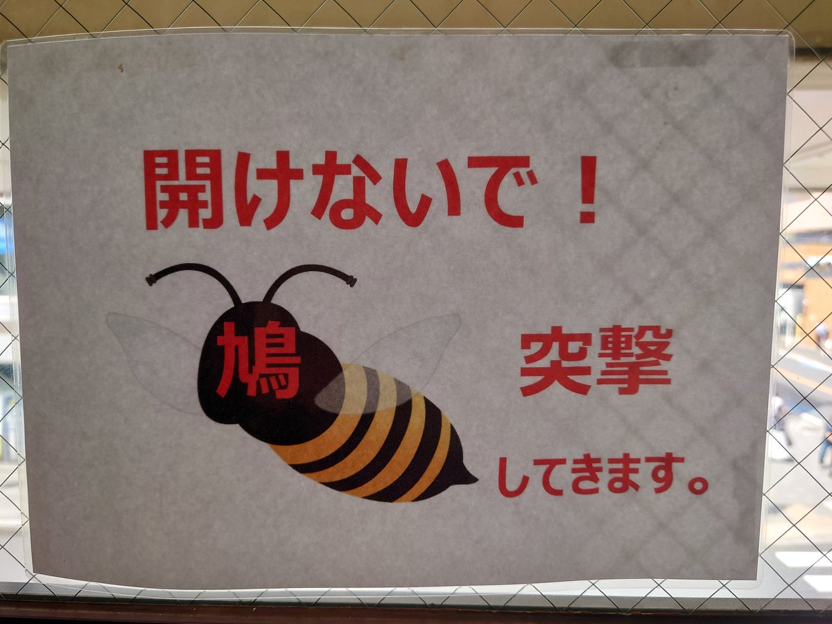 開けないで 窓を開けるとなんだかよくわからない生物が突撃してきます こわい タコイカカニの新作 Togetter 開けないで 窓を開けるとなんだかよくわからない生物が突撃してきます こわい タコイカカニの新作 Togetter