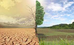 KelvinMakesi's tweet photo. The World is negatively being affected by Covid-19 and Climate Change. It is important to follow the @WHO set guideline as we live Climate Smart. They both have a negative impact on our lives. #TOGETHERWEWILL_WIN
#ZCCN
#PACJA
#StayHomeStaySafe
#Mask_Up
#ClimateCrisis
#COVID19 https://t.co/WSMQvt7pBV