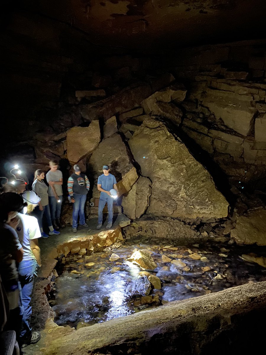 GLADEProject's tweet image. Glade students worked hard today restoring a glade and took an awesome tour through Tumbling Creek Cave!