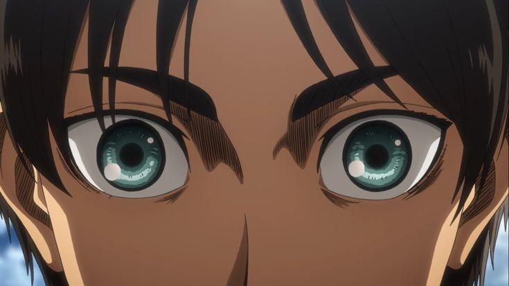 mild ackerman/lrsc tweet media
