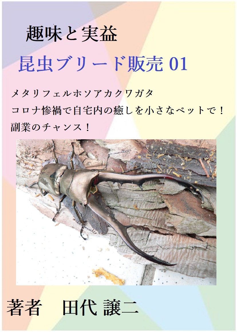 gt0630's tweet photo. 昆虫ブリード販売手法01 メタリフェルホソアカクワガ
アマゾンキンドルで販売開始、無料立ち読み大歓迎
生きたプラモデルの様な感じで、おもちゃ感覚です。
年間を通して20℃から25℃程度の場所を確保して
私自身が直ぐに再びやりたいビジネス。
キンドル本へのリンク
https://t.co/X5Wt8Bq997 https://t.co/5KMAzawsx5