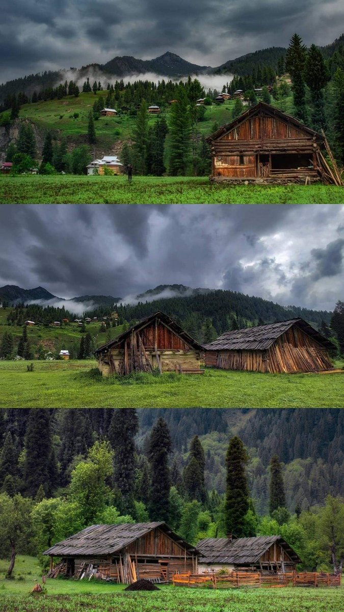 ALD_Pakistan's tweet photo. Taobutt 6 AM, Gurez Valley Kashmir Pakistan. June 14 2021.
📸 Farooq Seeru https://t.co/9xcVGUdhHN