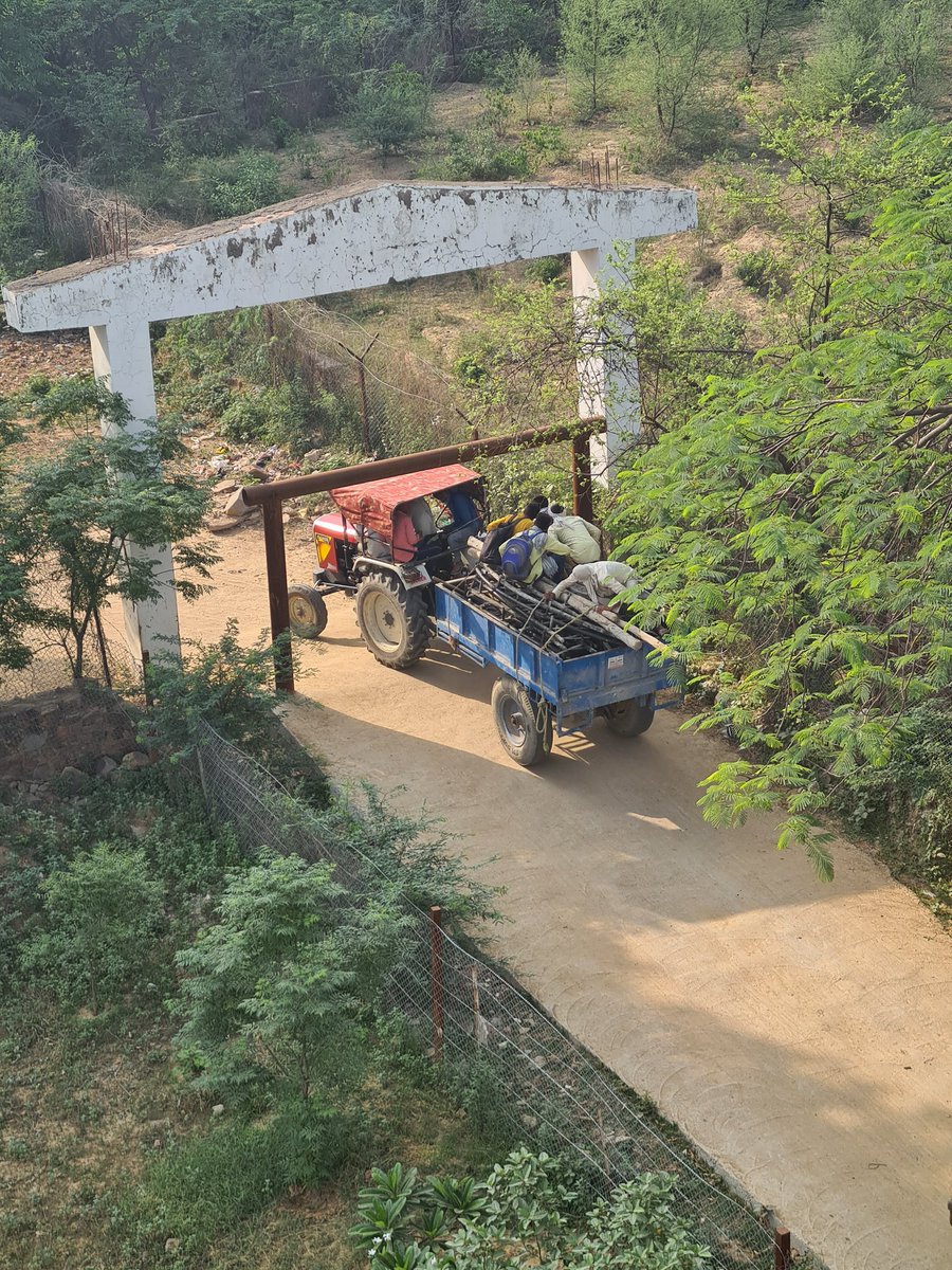 aneeshkhanna103's tweet photo. Construction in full swing via illegal road at v-10 dlf-3 in the aravalis&amp; biodiversity park. It's shameful that @MunCorpGurugram @DC_Gurugram @cmohry are allowing this&amp; not demolishing encroachments inspite of supreme court order. Corruption at its best @SaveAravali @moefcc https://t.co/yfex7TzAOI