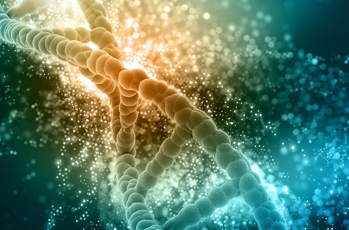 генетика днк. генетика организмов. ген в цепочке днк. молекула днк. наследственность днк.