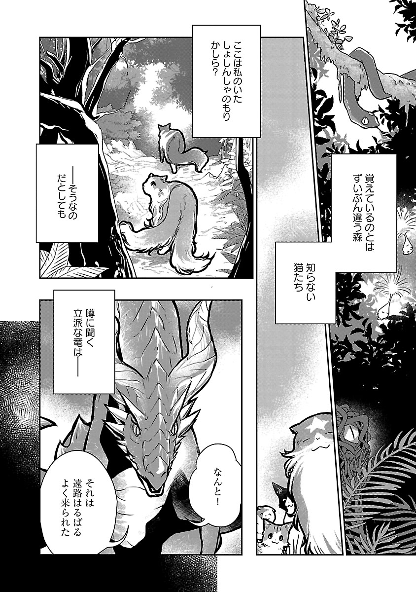 マンガボックス S Tweet 心配性の竜と個性豊かな猫たちの 温かくやさしいファンタジー 猫と竜 佐々木泉先生 大熊まい先生 M Okuma01 アマラ先生 Tamazonnnoamara 第19話後編 本日公開 今月から月4回配信 異世界 ファンタジー 魔法 漫画 Trendsmap