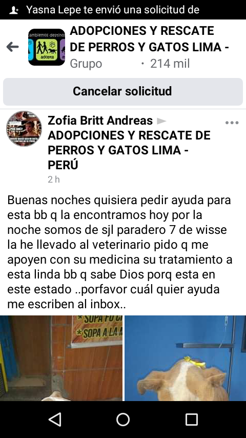 Noalyvm's tweet photo. @GeneralDelAire1 Ya la encontraron , por favor sigan el caso , ingresando al grupo en facebook. https://t.co/diYDhe8XB6