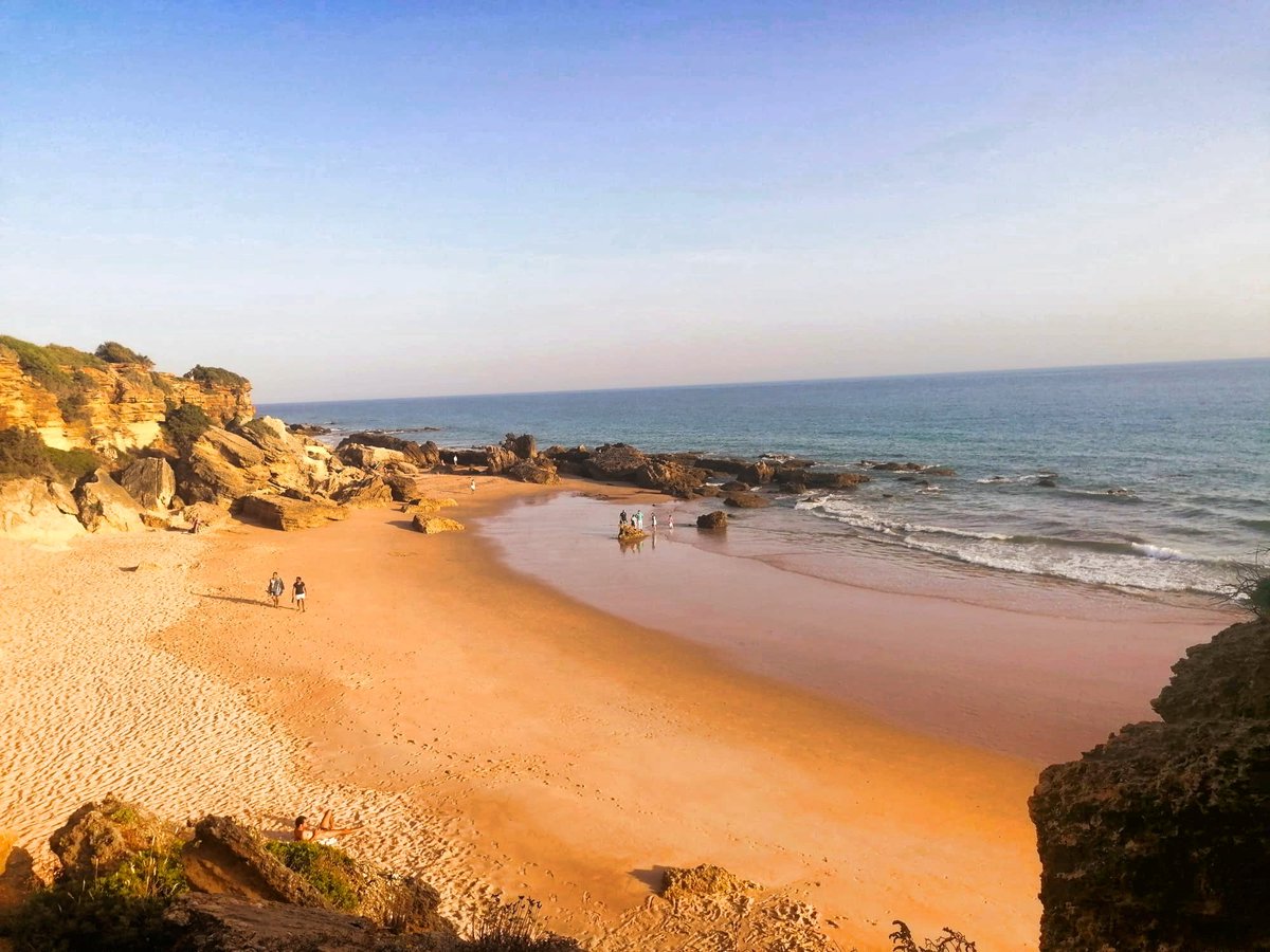 ¡¡Nuevo!! 📣📣 Guía Completa para visitar las Calas de Roche en Conil de la Frontera (Cádiz) #cadiz #conil <a href="/viveandalucia/">Vive Andalucía</a> <a href="/CadizTurismo/">Turismo de la provincia de Cádiz</a> ➡️losviajesdedomi.com/calas-de-roche/