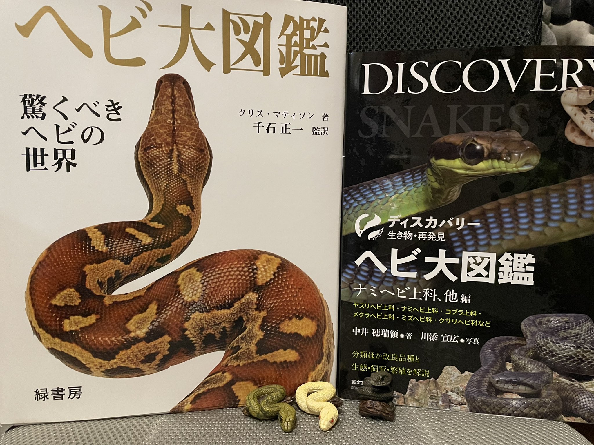 蛇道やしろ🐍 : "ついでに風船飛んだ！！ずっと欲しかった最強に