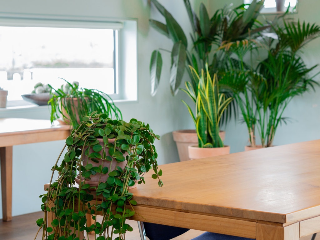 De dagen worden warmer en langer. Een mooi moment om de bezem door het bedrijf te halen. Dus plan vooral die MT vergadering of teamtraining op de geWoonboot. Bij ons werk je veilig en kun je echt de tijd te nemen om in je bedrijf te duiken. #gewoonboot

gewoonboot.nl/verhuur/