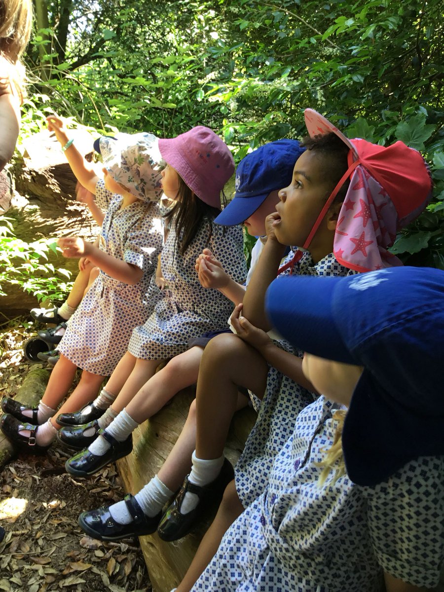 RoyalHighPrep's tweet photo. Where have you been exploring today?

Nursery went exploring along our new woodland pathway and came across this amazing tree to sit on.

#girlsmakingtheirmark https://t.co/3atHdMWIrq