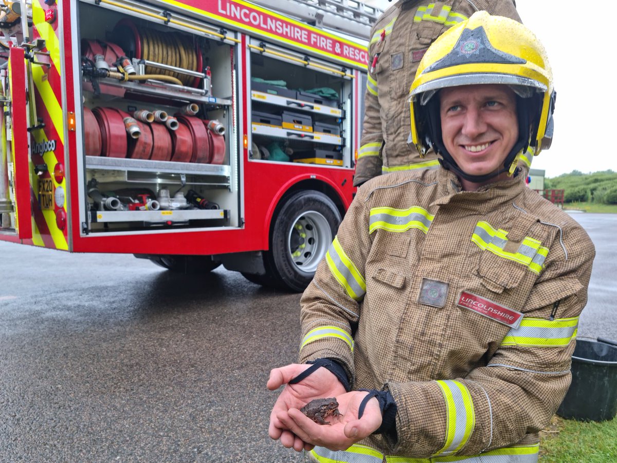 LFR Training tweet media