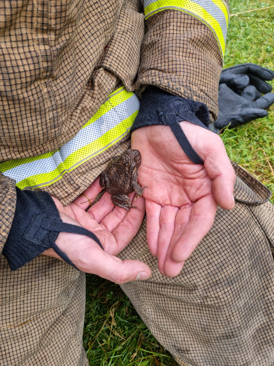 New appliance training with <a href="/longsuttonfire/">longsuttonfire</a> became an animal rescue. 😁 One frog rescued from the hydrant pit. <a href="/LincsFireRescue/">Lincolnshire Fire and Rescue</a>