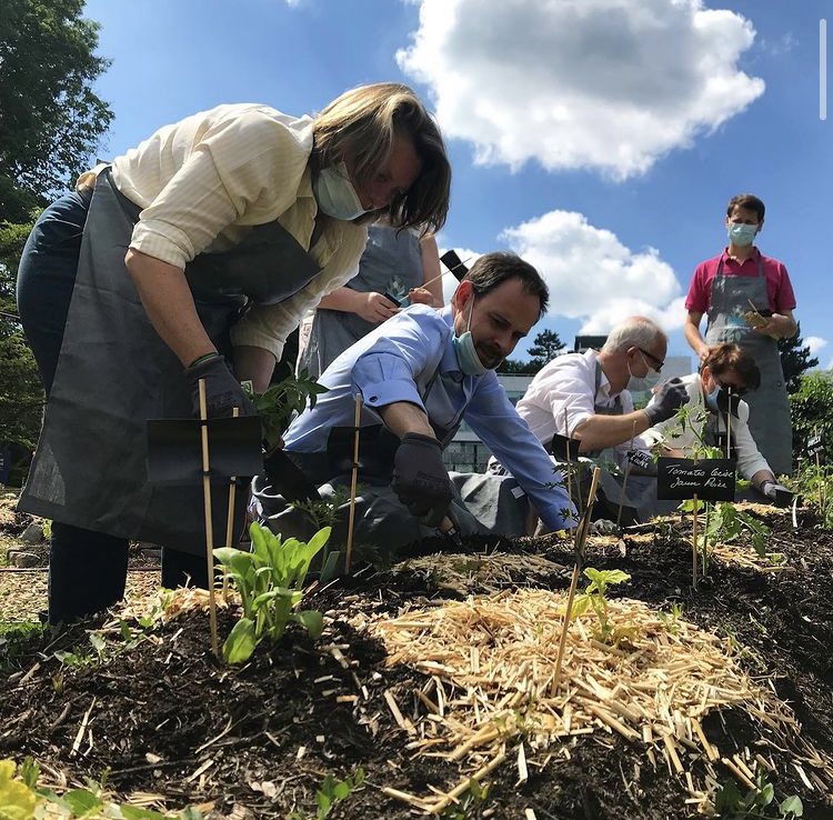 Les membres du comité de la direction immobilière d’<a href="/AXAFrance/">AXA France</a> se retrouvent dans leur potager d’entreprise avec #AXAAtoutcoeur. Ils ont enfilé leurs gants et leur tablier pour planter ensemble leurs premiers pieds de tomates ! #qvt #rse #potagerentreprise