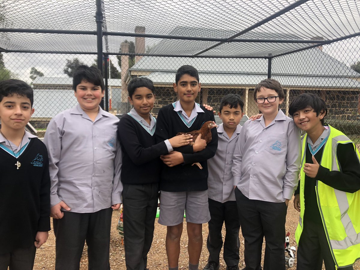 smcm_school's tweet photo. Our chickens are in safe hands! #chickencrew #RASV https://t.co/LqcuxKnMVC