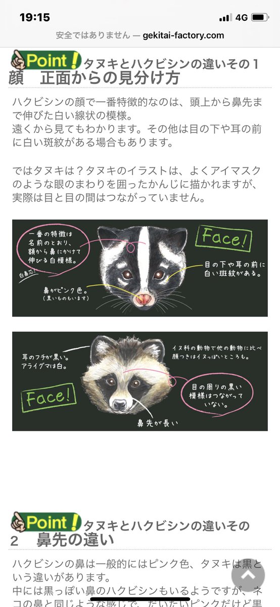 Kaoru 家の前を横切って行った 犬でも猫でもない この子は誰ですか どなたか分かりますか T Co 8dwk06lols Twitter Kaoru 家の前を横切って行った 犬でも猫でもない この子は誰ですか どなたか分かりますか T Co 8dwk06lols Twitter