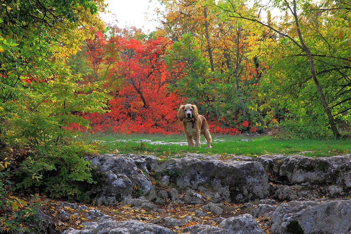 AMBREEN DELILAH tweet media