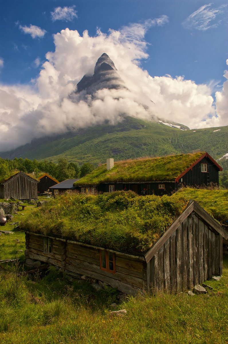 ArchitectureTud's tweet photo. Hobbit-Like Scandinavian Houses With Green Roofs:

Hofskirkja, Iceland 🇮🇸 
Renndølsetra, Norway 🇳🇴 
Saksun Village, Faroe islands🇫🇴 https://t.co/GxkeRqrSNX