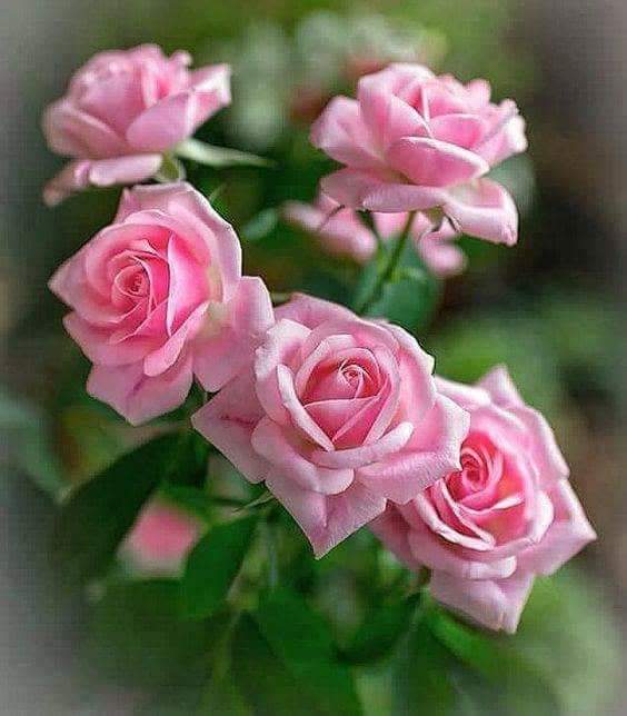 #NamazHerMümineFarz
#NamazGozumunNuru
💚💛💖💙

Medet Allahim Medet

Aziz Allah
İzmir icin ÖĞLE ezanı

Hayye ales-salâh
Hayye alel-felâh
Haydi Namaza
Haydi Kurtulusa

Ya Rabbim
Medet eyle ümmete bizlere 
Sen yardım etmezsen kim eder ki,
Medeteyle ümmetin son kalesine

#AllahYeter