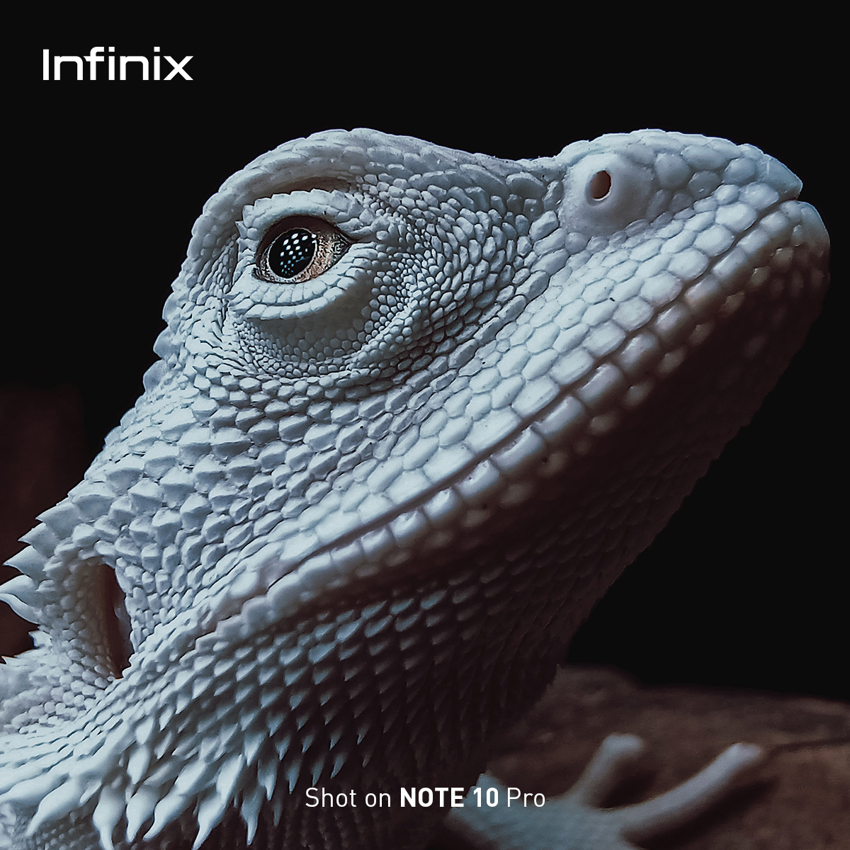 InfinixGhana's tweet image. Take shots you’d be proud of with the Infinix Note 10 Pro.😎

#64MPQuadCamera brings out every detail, to make your photos standout beautifully.😍

Can you tell us the name of the reptile in the pictures? #FasterAndSmoother