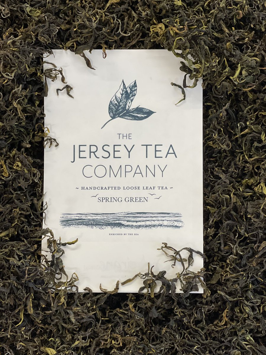 Organic Spring Green Jersey Tea 2021. #organicjerseytea #jerseytea #finetea #tea #britishtea #europeantea #looseleaftea #farmjersey #jersey #jerseyci #jerseychannelislands #wholeleaftea #supportlocal #genuinejersey