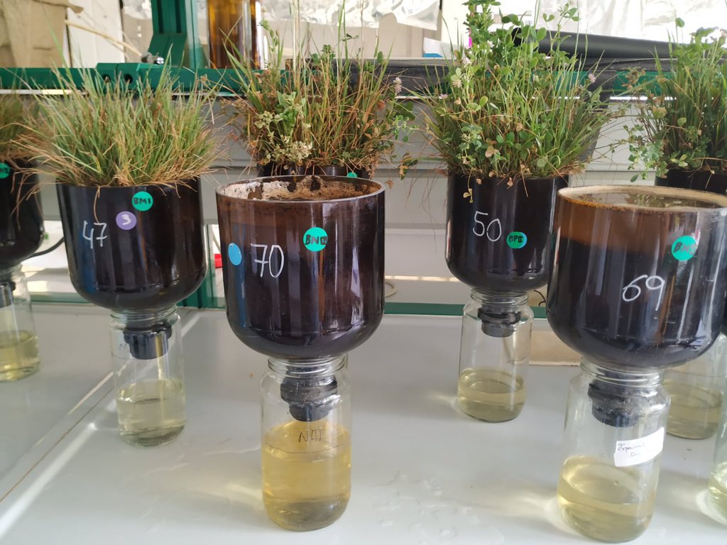 Environmental Pollution & Agriculture (EPA) tweet media