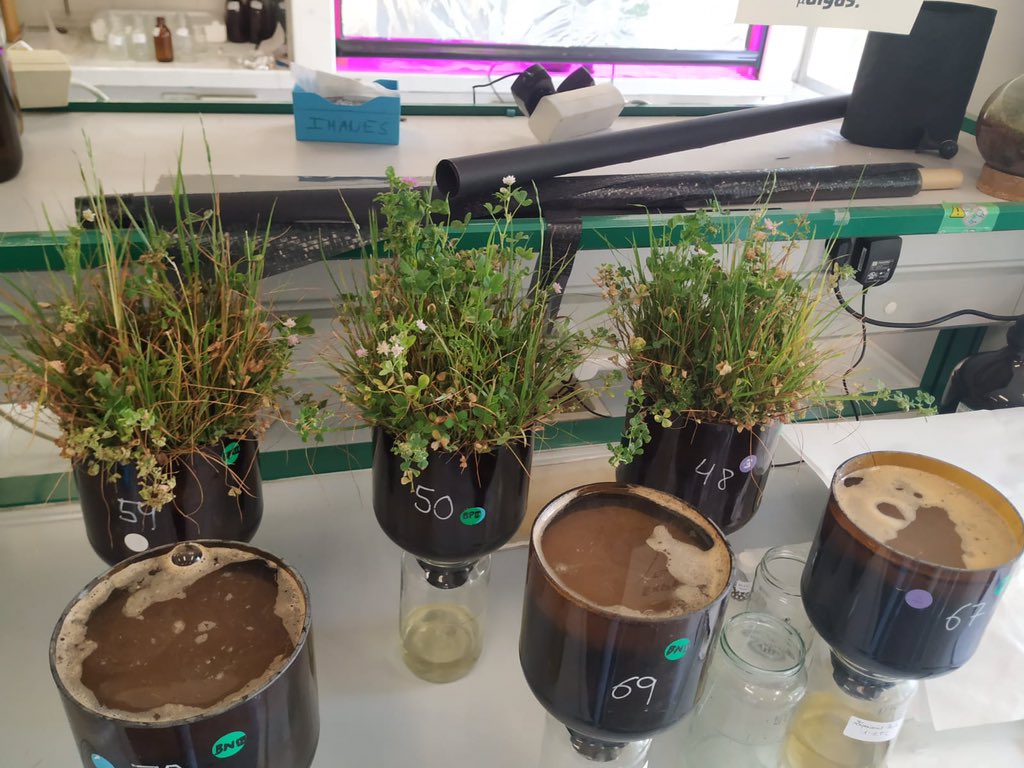 Environmental Pollution & Agriculture (EPA) tweet media