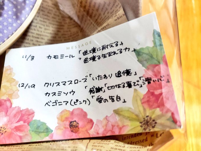 12月19日の誕生花のtwitterイラスト検索結果 12月19日の誕生花のtwitterイラスト検索結果