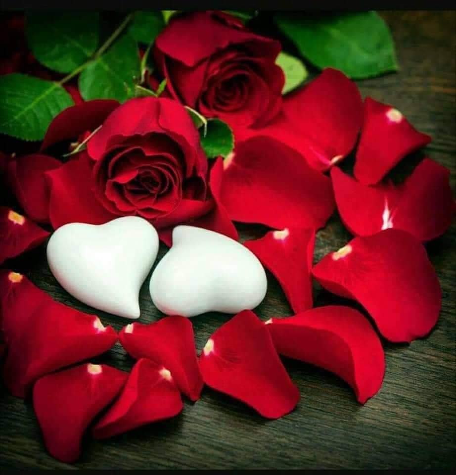 <a href="/Deniz44Rte/">DENİZ</a>
Şükürler olsun can kardeşim gelmiş günün hayr olsun💐🌺💕