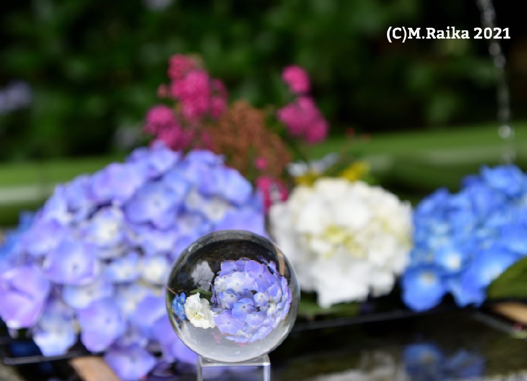 水無月来夏 芳賀天満宮 花手水舎 風鈴 良かったですよ 芳賀天満宮 学問の神様 菅原道真公 紫陽花ブルー 紫陽花 アジサイ あじさい レンズボール 水晶玉撮影隊 ファインダー超しの私の世界 写真の奏でる私の世界 写真で伝いたい私の世界