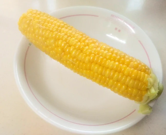 今年もとうもろこしの時期がやって来ました🌽💕

1本だけ食べるならばレンチンが簡単ですよ✨
薄皮残して600Wで3分～5分ほど。これだけ✨

我が家のモロコシ1号さんはスーパーで購入。頭からお尻まで粒がプリプリぎっしりで甘みが強かったです🌽💕 