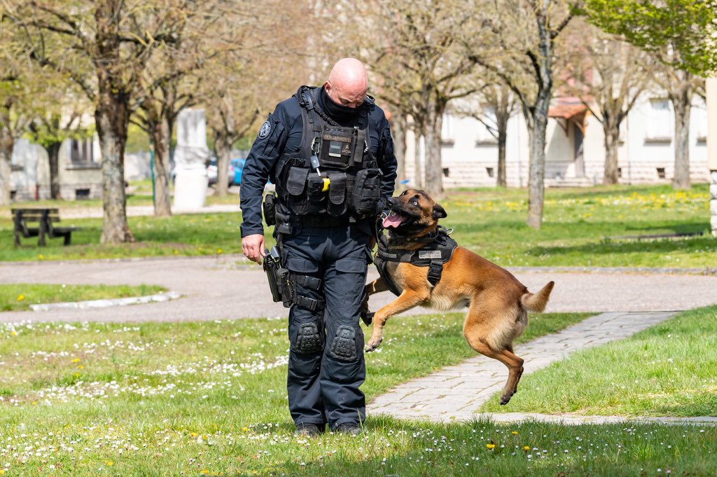Gendarmerie nationale tweet media