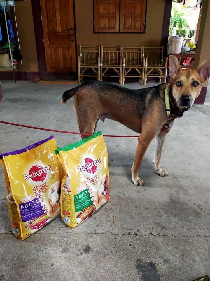 เรื่องดาราจุดพลุ น้องได้รับการขอโทษจากคุณดิว เป็นเพดดีกรี 2ถุงครับ.