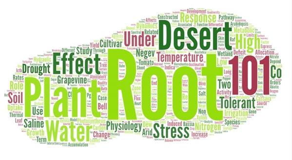 #Plant #Root #Desert #Water #Stress our published papers in 5 words.