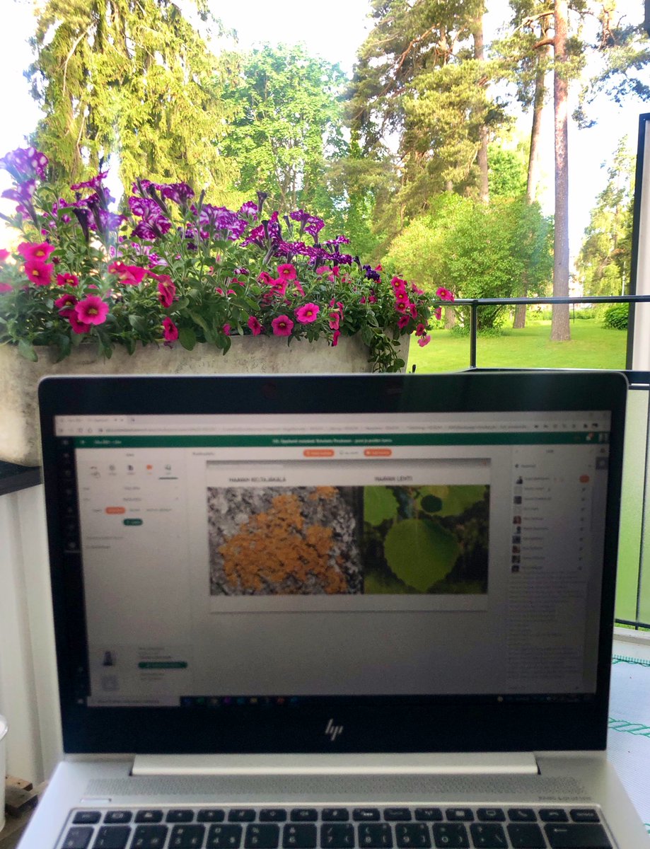 Omat työpajat förbi! Nyt saan muina naisina juoda aamukahvini parvekkeella ja oppia <a href="/MetsayhdistysRy/">Suomen Metsäyhdistys</a> kollegoilta Suomen puulajeista, niiden kasvusta ja hiilenkierrosta. Kyllä me tämäkin etäkonsepti handlattiin kunnialla! Kiitos <a href="/UlosUtOut/">ULOS–UT–OUT</a>! #metsäopettaa #ulos2021 #ilmastokasvatus